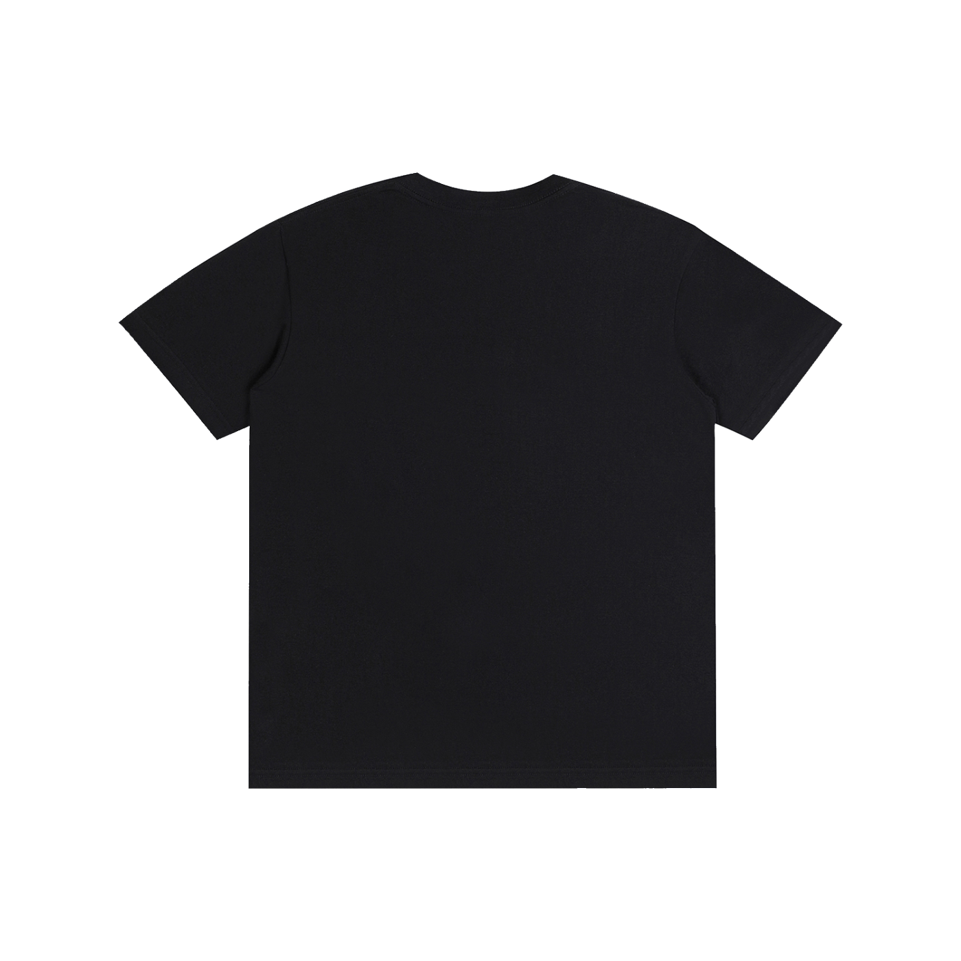 REGULAR FIT T Shirt